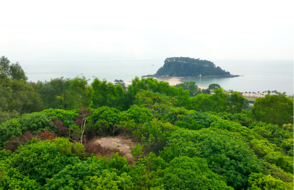 探秘霞涌八景之烟墩烽迹|远眺碧波万顷，近观层峦叠翠，链接古今的桥梁！